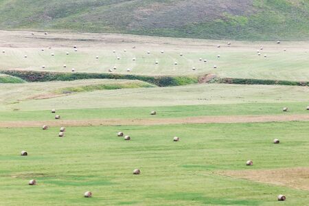 A meadow full of scattered haybales.の写真素材