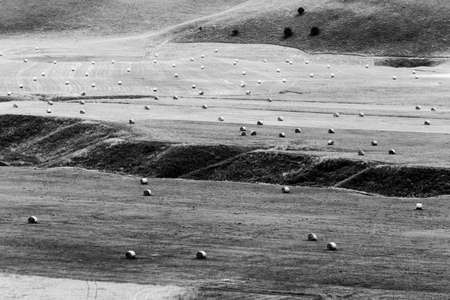 A meadow full of scattered haybales