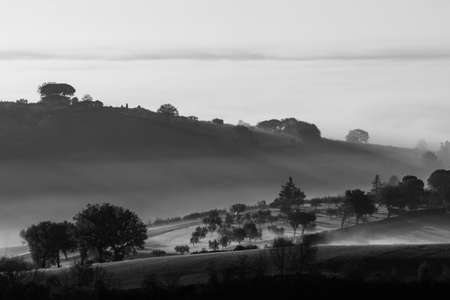 Hills and trees at dawn trough the mist and fogの写真素材