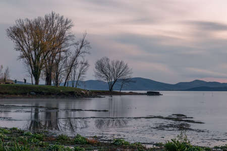 Shore of Trasimeno lake Umbria, Italy with trees reflections on waterの写真素材
