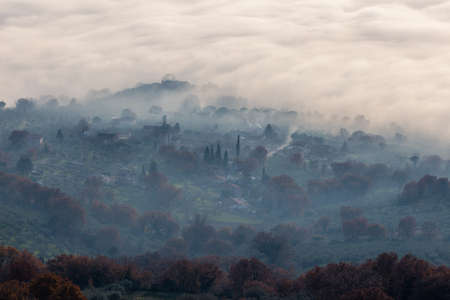 Aereal view of trees in the middle of fogの写真素材