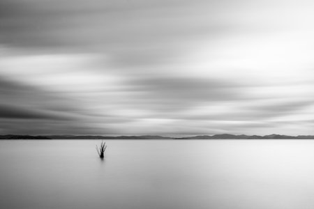 Minimalist view of fishing net poles on a lake, with perfectly still water and empty sky at duskの写真素材