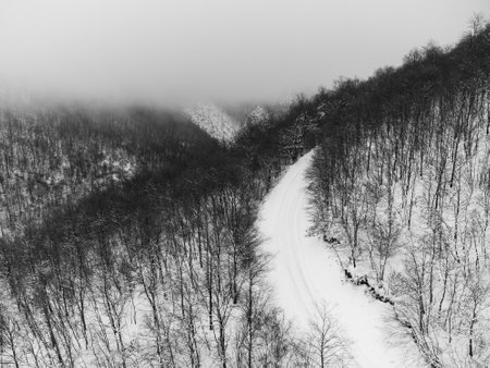 Aerial view of a mountain road in the middle of forest covered by snowの写真素材