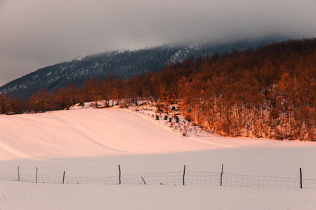 Winter landscape with group of trees above a hill in the middle of beautiful red and orange light
