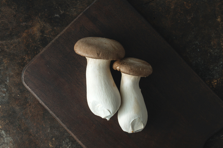 Oyster mushroom on rustic backgroundの写真素材