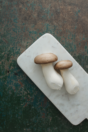 Oyster mushroom on rustic backgroundの写真素材