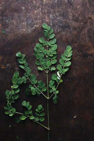 Moringa on rustic backgroundの写真素材