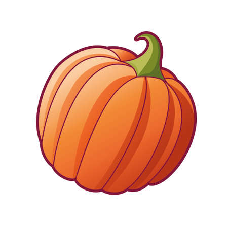 Drawn pumpkin. Vector illustration, icon isolated on white backgorund. Organic vegetarian food for health. Big ripe pumpkin for halloween decorationのイラスト素材