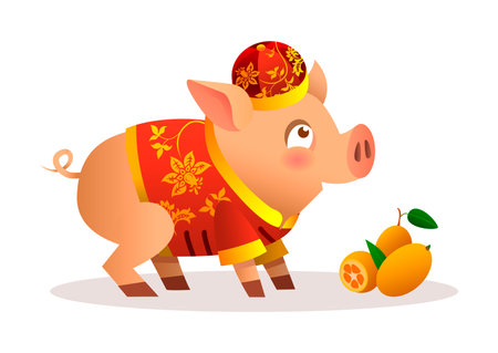 Chinese little pig cartoon character design with traditional chinese red costume and red hat. Ripe orange tangerines. Vector illustration isolated on white background. Zodiac of the Pig.のイラスト素材