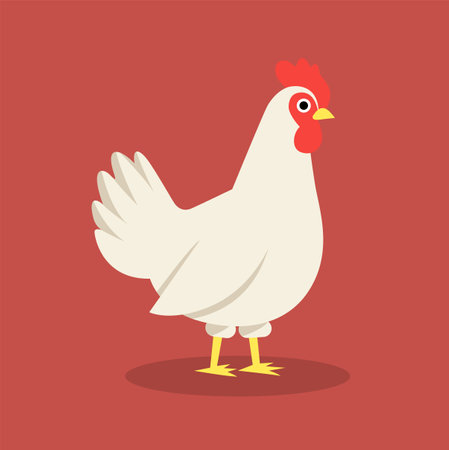 Chicken flat vector illustration. White chicken. Minimalistic modern styleのイラスト素材