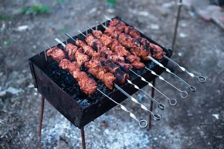 roasted meat, skewers with onions on skewers on the grill