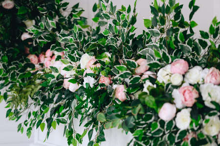 Horizontal photo of flowers among green leaves. Floristics, decoration of halls from flowers. screensaver photoの写真素材