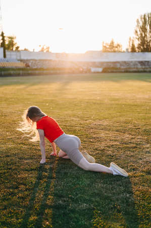 Athletic Woman in Sportswear and Exercising Outdoors in Evening, Doing Yoga Against Sun on Green Grassの写真素材