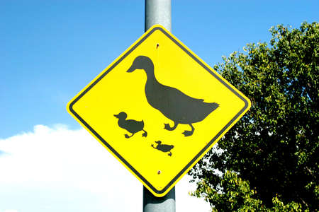 Duck crossing road signの写真素材