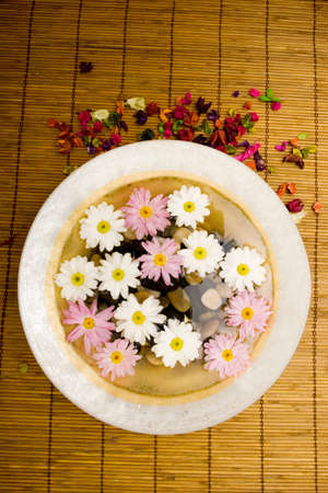 Gerbera daisy flowers in waterの写真素材