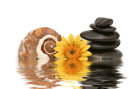 Stack of black massage stonesの写真素材