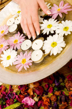 Woman's manicured hands with daisiesの写真素材