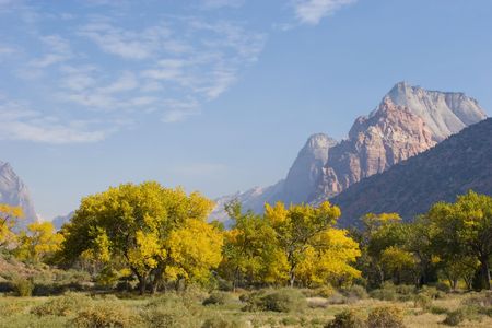 Fall season foliage in Zion National Parkの写真素材