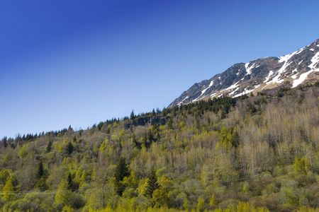 Alaskan wilderness in springtimeの写真素材