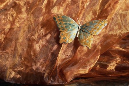 Butterfly on silk fabricの写真素材