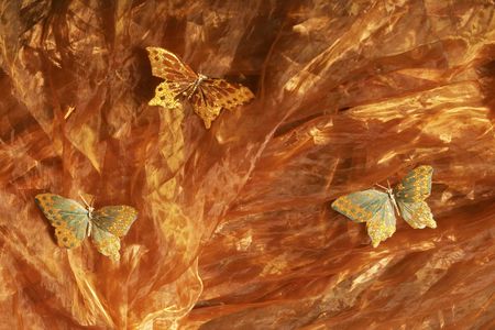 Butterfly on silk fabricの写真素材