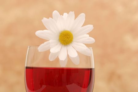 Red wine and white daisiesの写真素材