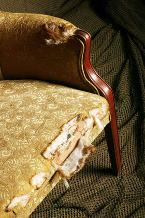 Antique chair in need of upholsteryの写真素材