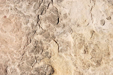 Sandstone texture or backgroundの写真素材