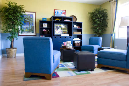 TV and entertainment room