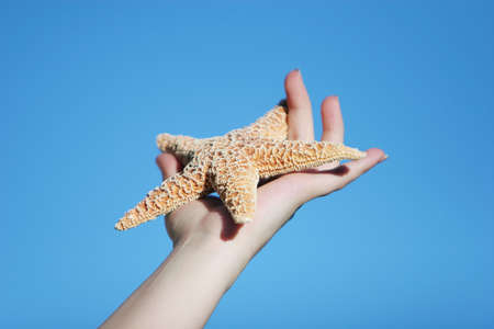 Woman holding a starfishの写真素材