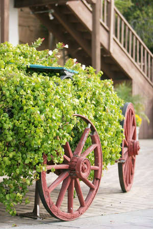 Beautiful garden flowers on carriageの写真素材