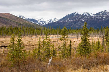Snow melting on mountains in Alaska Rangeの写真素材