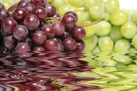 Red and green grapesの写真素材