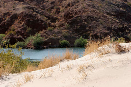 Desert oasisの写真素材