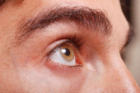 Macro shot of a male model eye