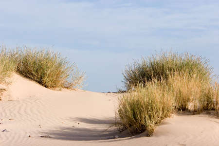 Sand dunes by the beach and blue skyの写真素材