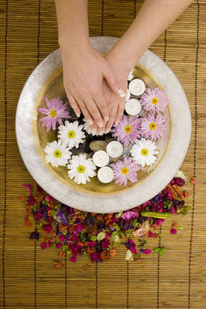 Woman's manicured hands with daisiesの写真素材