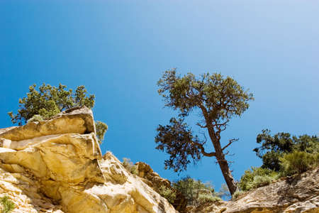 Scenic view of trees on the rocksの写真素材