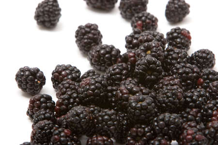 Seasonal organic blackberries for dietの写真素材