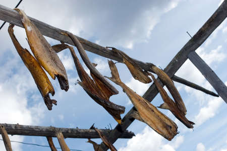 Salmons drying on stickの写真素材