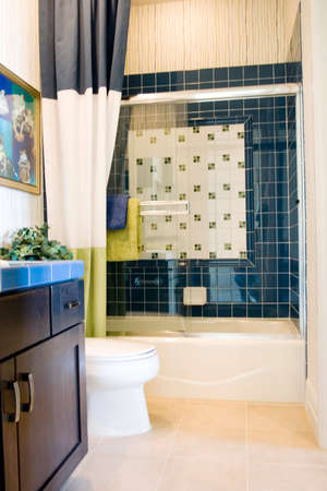 Modern bathroom in a house