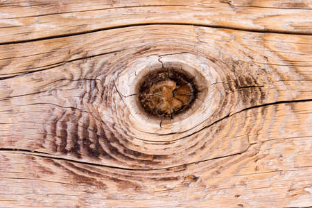 Wood texture closeup as backgroundの写真素材