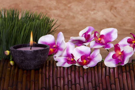 Spa candle, orchid flowers and green grass for alternative therapyの写真素材