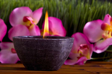 Spa candle, orchid flowers and green grass for alternative therapyの写真素材