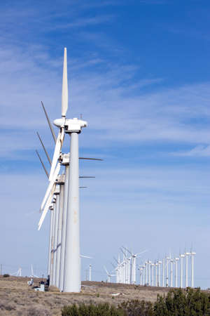 Wind turbine farm generating clean energy