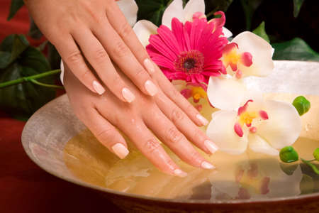 Woman's hands in a bowl of waterの写真素材