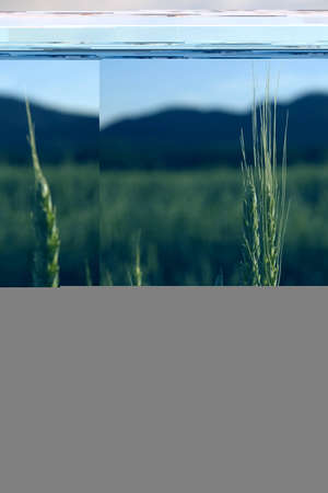 Pretty sexy woman in front of cityviewの写真素材