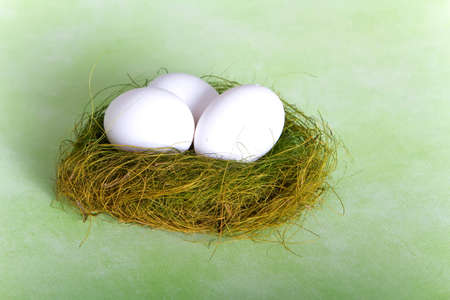 White chicken eggs in a small nest indoor shotの写真素材