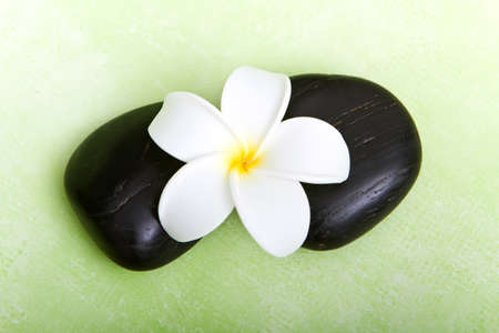Hot spa stones and tropical frangipani flowerの写真素材