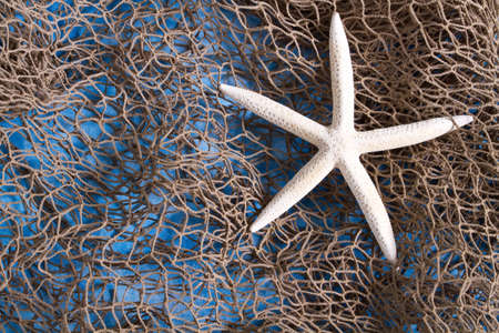Sea Star on fishing net studio shotの写真素材